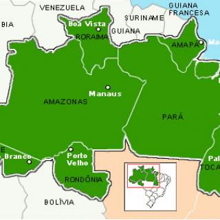 Zona Franca de Manaus - AXS Consultoria Empresarial Consultoria Empresarial Passivo Bancário Ativo Imobilizado Ativo Fixo
