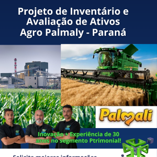 Projeto de Organização Patrimonial Agro Palmaly - AXS Consultoria Empresarial Passivo Bancário Ativo Imobilizado Ativo Fixo