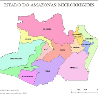 Projetos de Ativo Imobilizado - Zona Franca de Manaus - AM Consultoria Empresarial Passivo Bancário Ativo Imobilizado Ativo Fixo