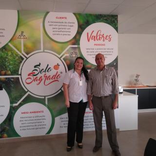  Consultoria Empresarial Passivo Bancário Ativo Imobilizado Ativo Fixo