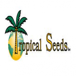 Avaliação Patrimonial para Ajustes Contábeis - Tropical Seeds Consultoria Empresarial Passivo Bancário Ativo Imobilizado Ativo Fixo