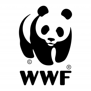 Inventário Geral do Ativo Imobilizado na ONG WWF Consultoria Empresarial Passivo Bancário Ativo Imobilizado Ativo Fixo