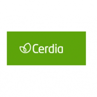 Cerdia (Grupo Rhodia) - Inventario Patrimonial em Multinacionais Consultoria Empresarial Passivo Bancário Ativo Imobilizado Ativo Fixo