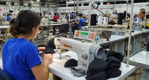 Ativo Imobilizado - AXS Consultoria Empresarial Consultoria Empresarial Passivo Bancário Ativo Imobilizado Ativo Fixo